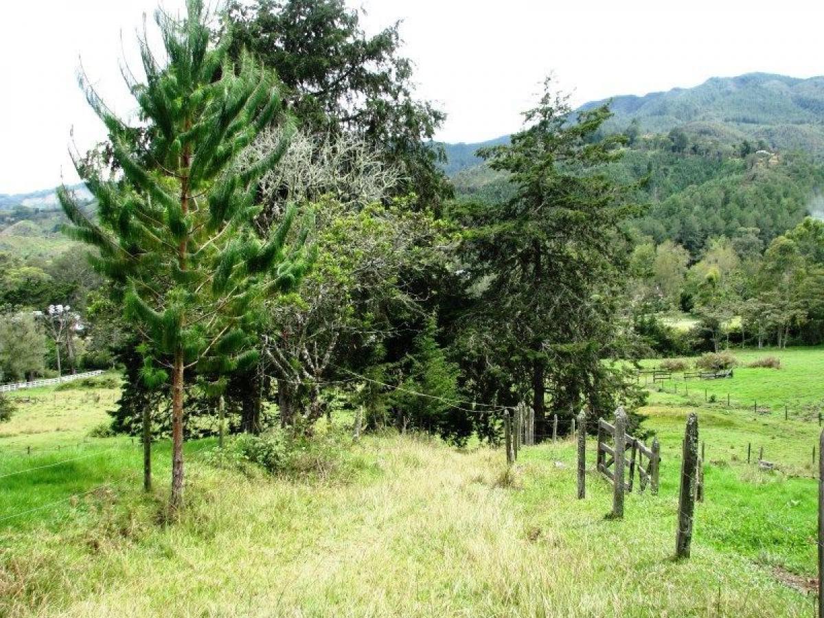  Land in Antioquia, Colombia No. 468