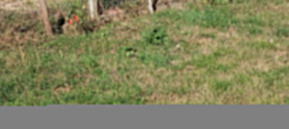 2 bedrooms House in Eure-et-Loir, France No. 87250 2