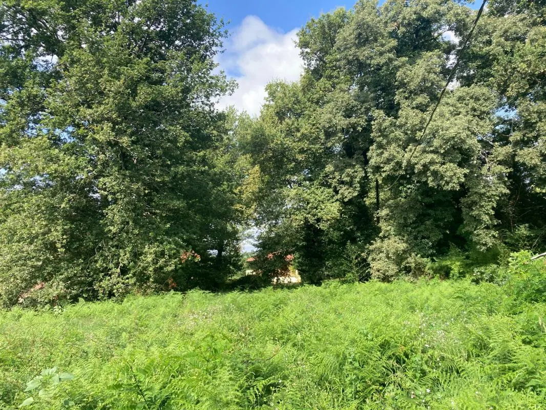 1730m² Land in Mazerolles, France No. 352978