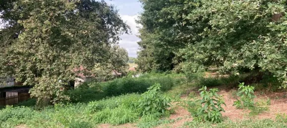 1730m² Land in Mazerolles, France No. 352978 3