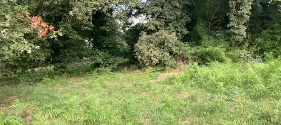 1730m² Land in Mazerolles, France No. 352978 2