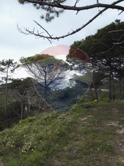 Terrain à Mafra, Portugal 812m² No. 58370