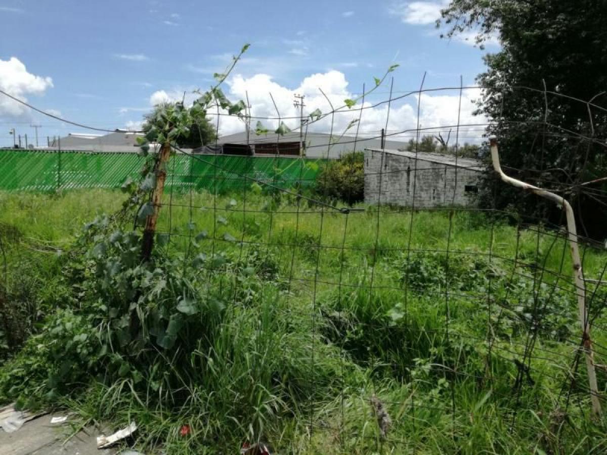  Land in San Mateo Atenco, Mexico No. 205432