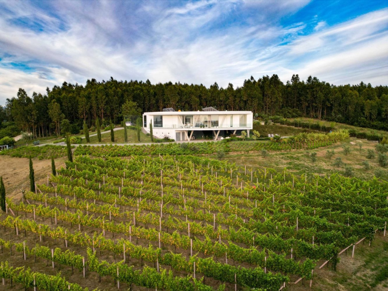 4 غرف نوم منزل في Arganil, Portugal رقم 96706