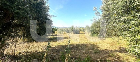  قطعة أرض في Fundao, Portugal 6800متر مربع رقم 76964 8