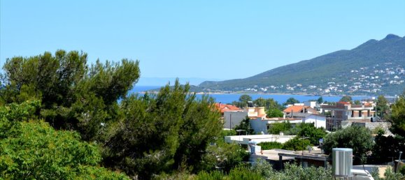 Gewerbliche Immobilie in Artemida, Greece 330m², Nr. 6254 17