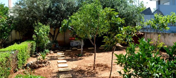 Gewerbliche Immobilie in Artemida, Greece 330m², Nr. 6254 18