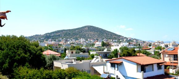 Коммерческая недвижимость 330м² в Луца, Спата-Артеми, Восточная Аттика, Аттика, Греция № 6254 19
