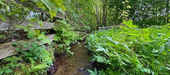 Casa de 2 habitaciónes en Reichenau im Muhlkreis, Austria No. 167800 8