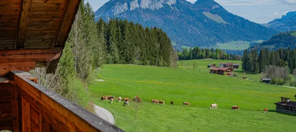 8 bedrooms Land in Hopfgarten im Brixental, Austria No. 153173 7