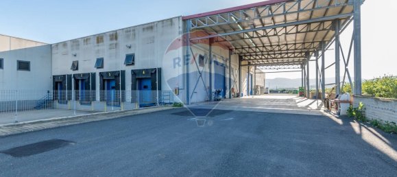 7000m² Warehouse in Mineo, Italy No. 63966 5