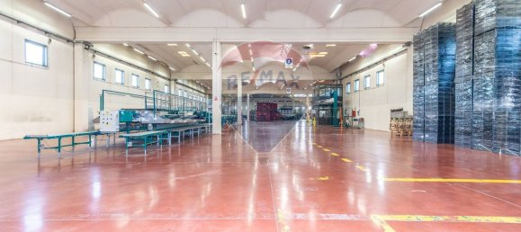 7000m² Warehouse in Mineo, Italy No. 63966 10