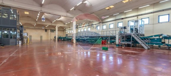 7000m² Warehouse in Mineo, Italy No. 63966 14