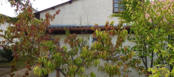 4 rooms House in Palterndorf-Dobermannsdorf, Austria No. 123191 43