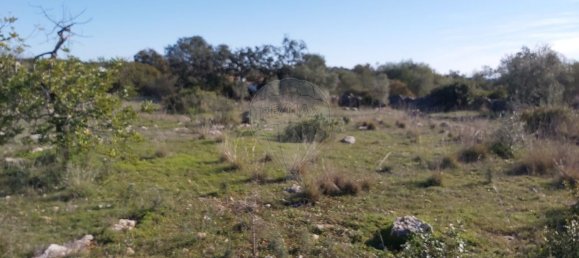 Grundstück in Olhao, Portugal 4720m², Nr. 38993 3