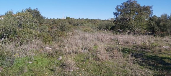 Grundstück in Olhao, Portugal 4720m², Nr. 38993 2