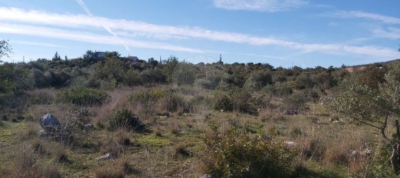 Grundstück in Olhao, Portugal 4720m², Nr. 38993 6