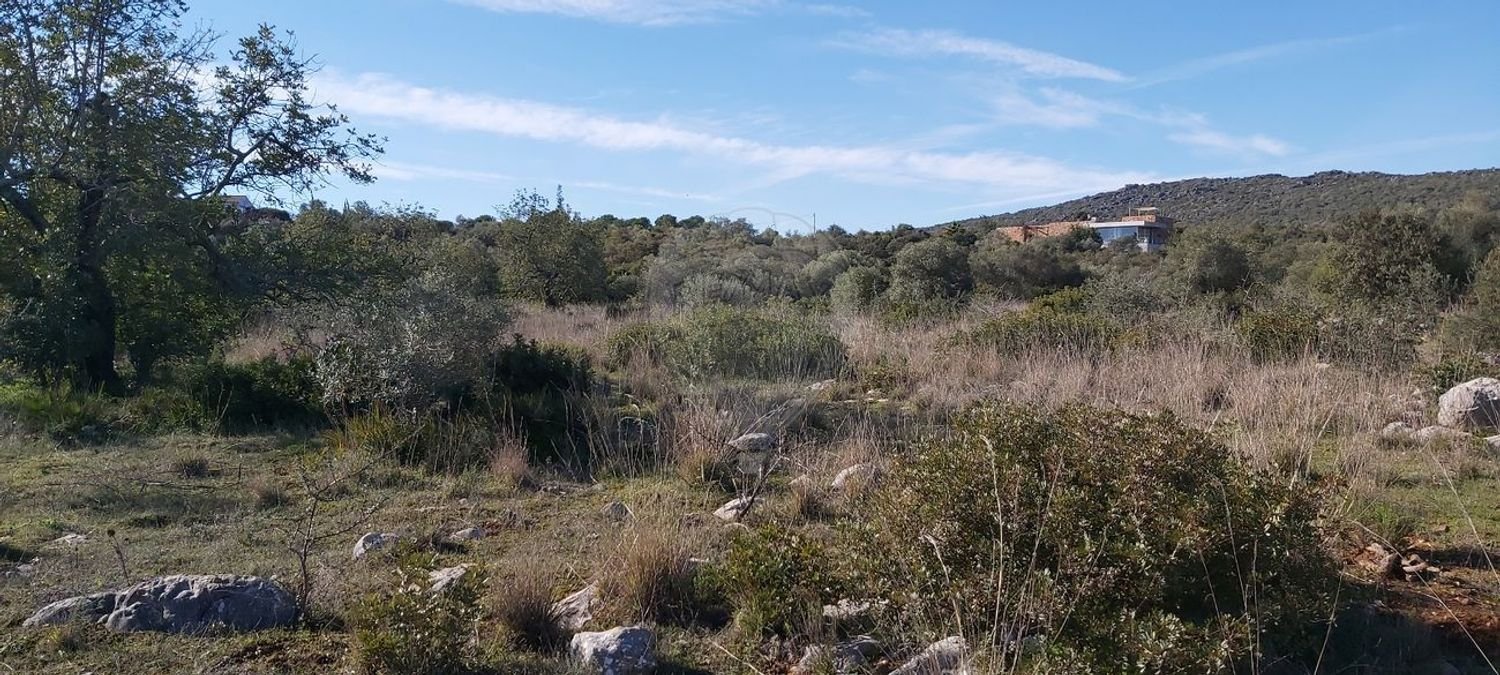 Grundstück in Olhao, Portugal 4720m², Nr. 38993