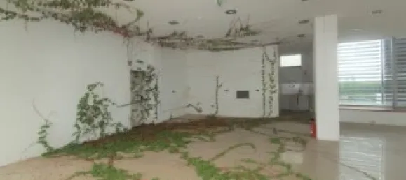 2358m² Building in Batalha, Portugal No. 10874 49