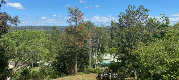 645m² Land in Kyogle, Australia No. 899 2