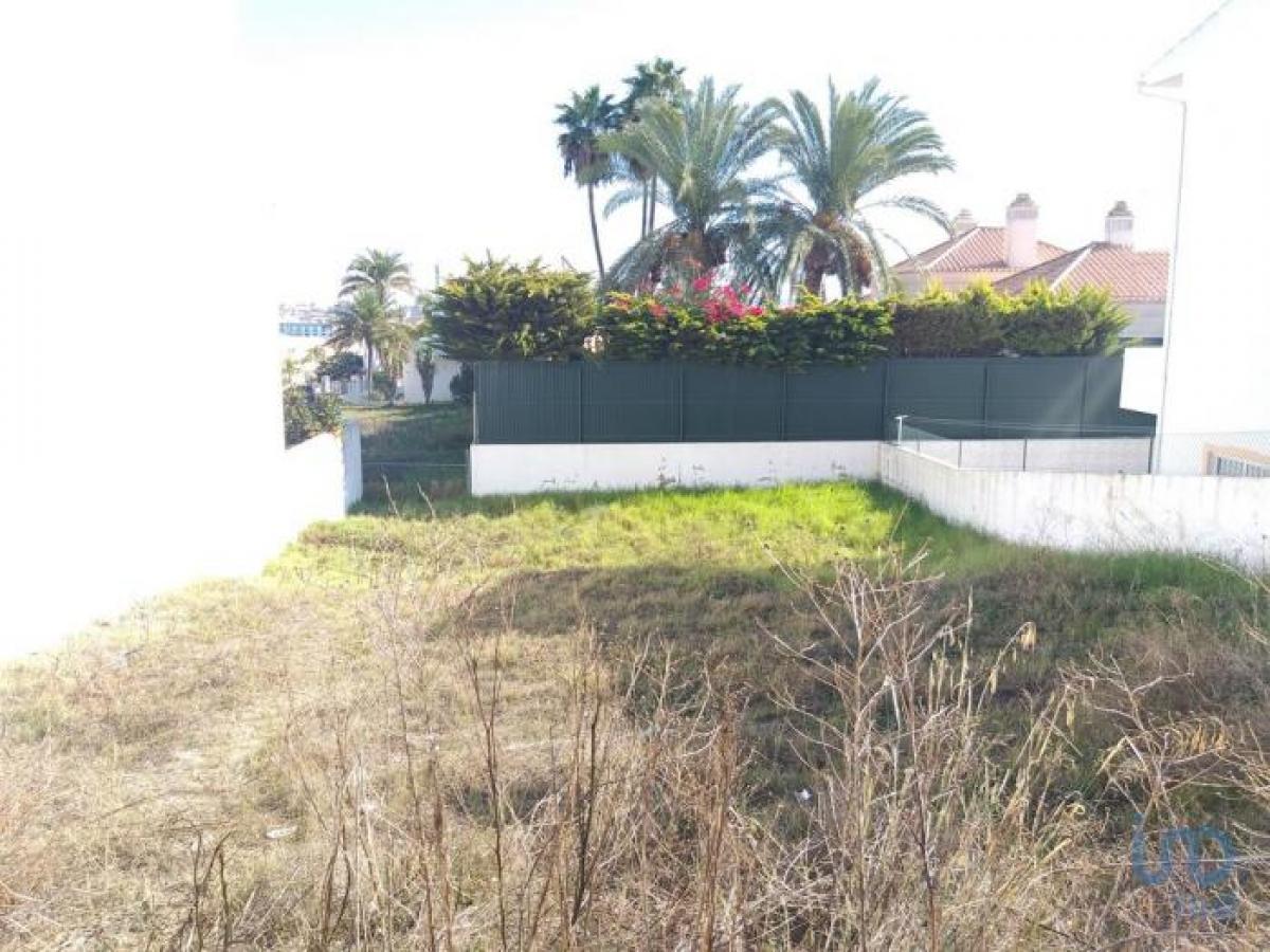 Terreno en Faro, Portugal No. 9127