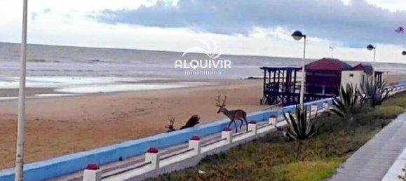 2 bedrooms Penthouse in Almonte, Spain No. 142703 12