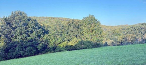 Terrain à Konigstetten, Austria No. 217674 6