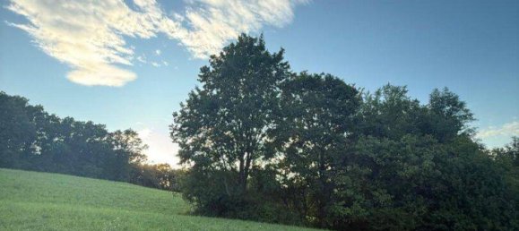 Terrain à Konigstetten, Austria No. 217674 2