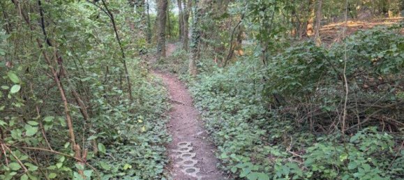 Terrain à Konigstetten, Austria No. 217674 5