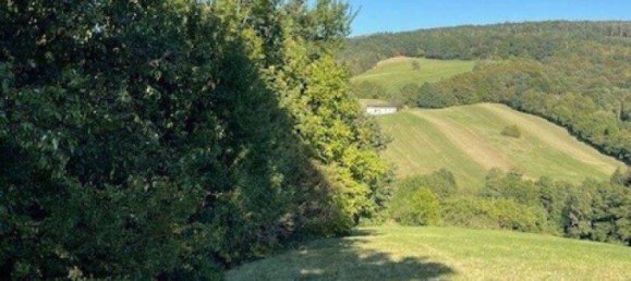 Terrain à Konigstetten, Austria No. 217674 8