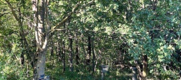 Terrain à Konigstetten, Austria No. 217674 4