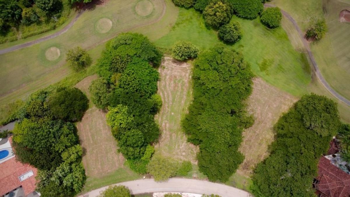 Terrain à Santa Cruz, Costa Rica No. 1949