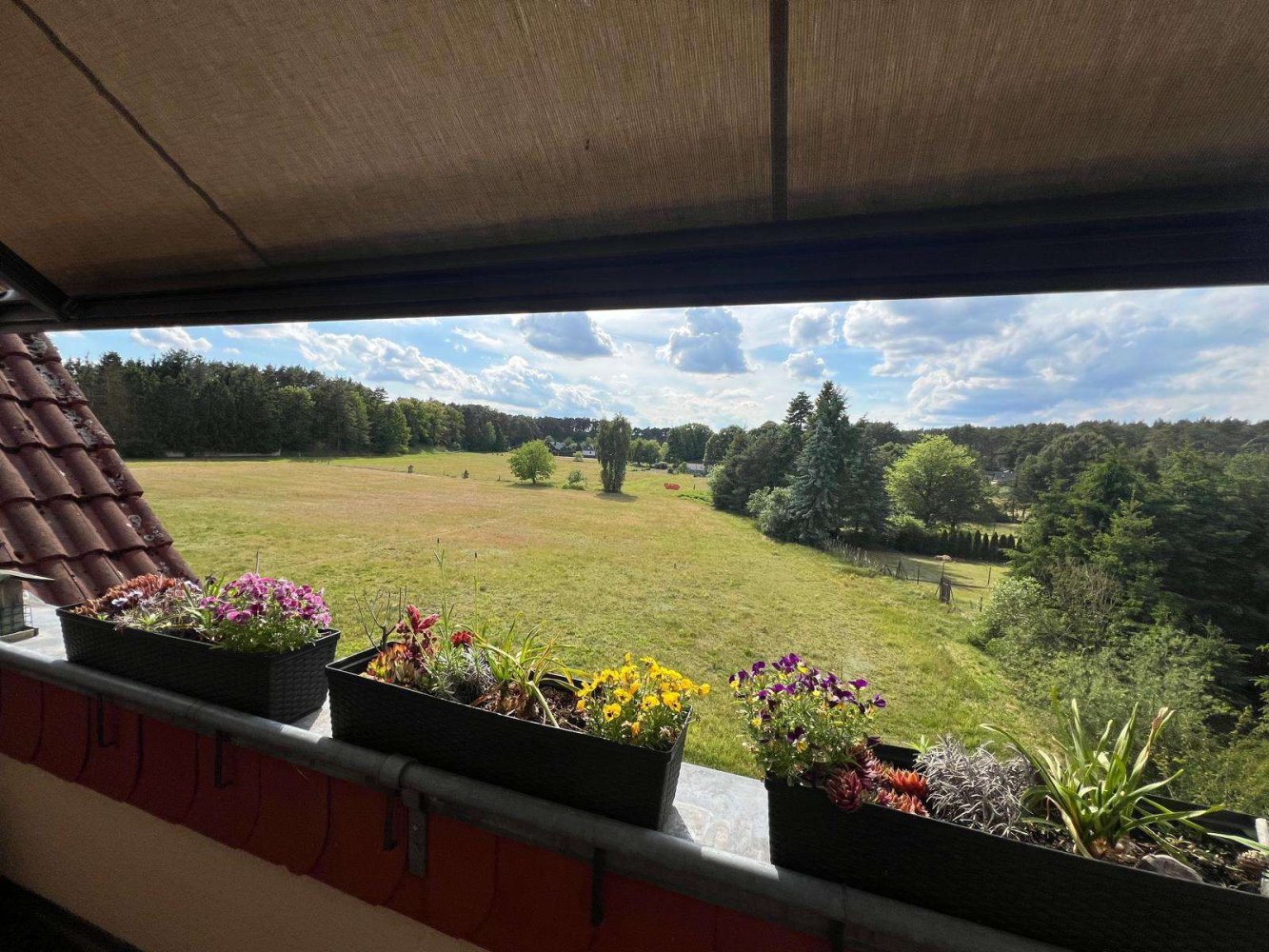 3-Zimmer Doppelhaus in Barnim, Germany, Nr. 238381