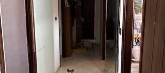 5-Zimmer Wohnung in Civitavecchia, Italy, Nr. 37348 8