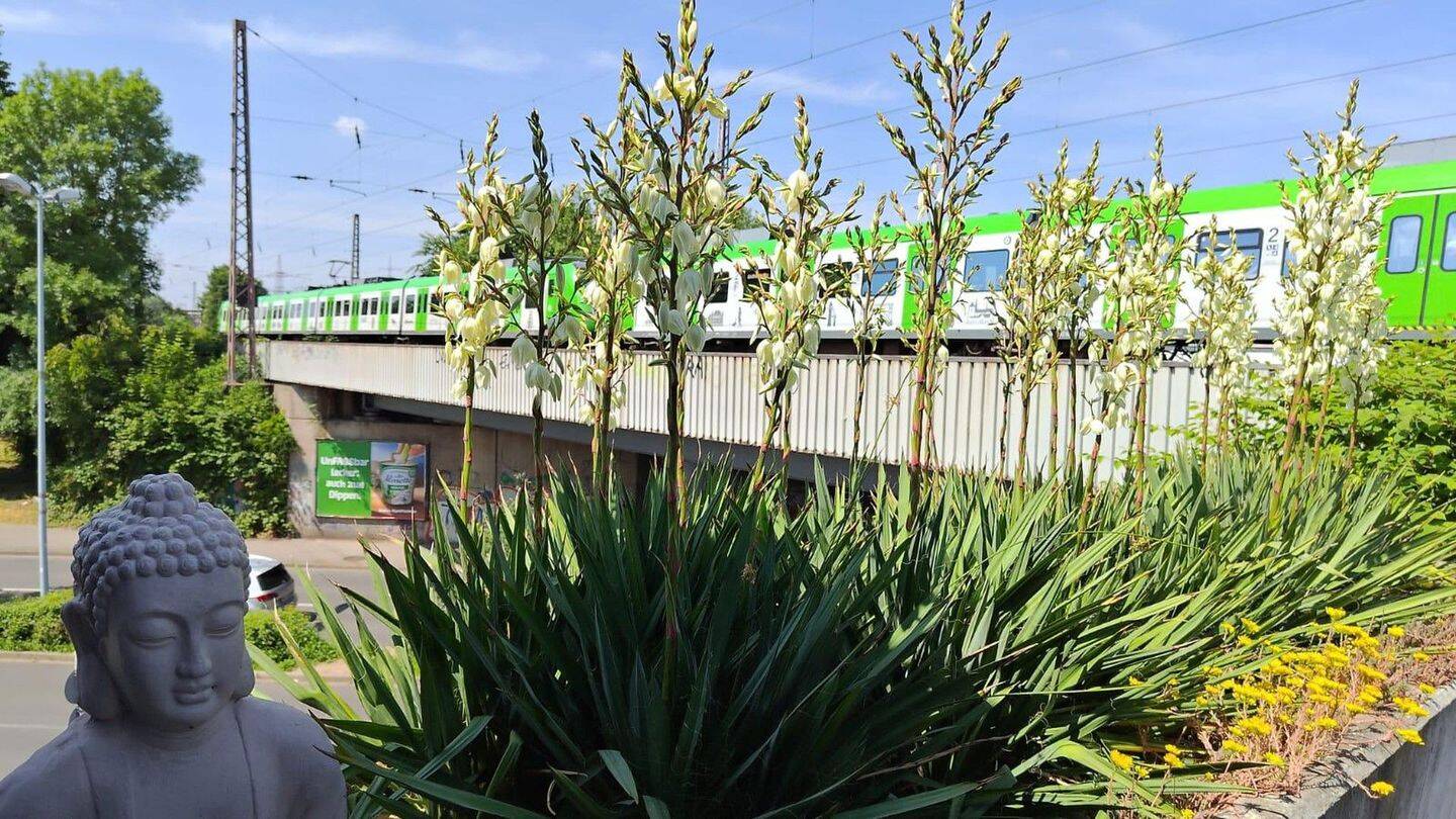 16-Zimmer Hotel in Mülheim an der Ruhr, Germany, Nr. 226584