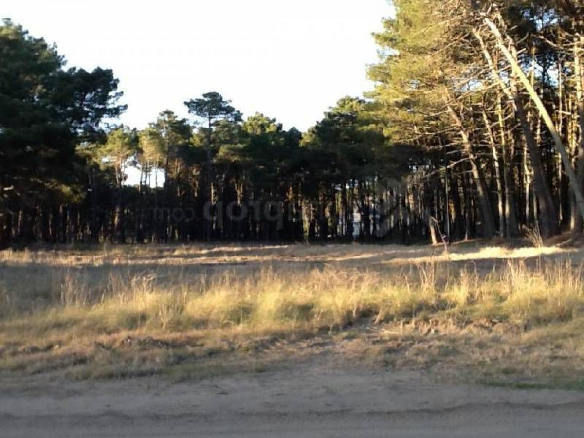  Land in Mar del Plata, Argentina No. 122067