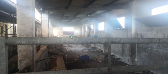 6 Schlafzimmer Villa in Bellreguard, Spain, Nr. 184690 5