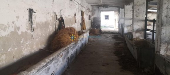 6 Schlafzimmer Villa in Bellreguard, Spain, Nr. 184690 6