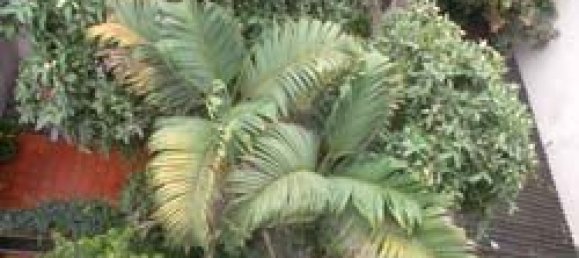 Дом с 5 спальнями в Каузяй, Вьетнам № 328 9