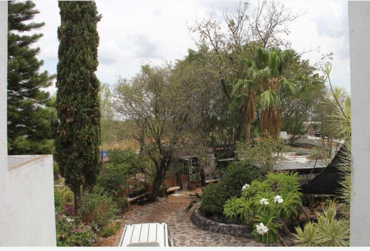 7 غرف نوم منزل في Salvatierra, Mexico رقم 186288