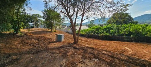 Commercial property in Rawai, Thailand No. 12616 3