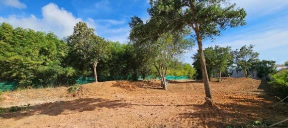 Commercial property in Rawai, Thailand No. 12616 2