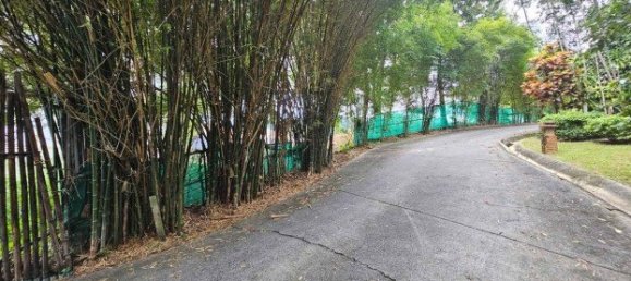 Commercial property in Rawai, Thailand No. 12616 6