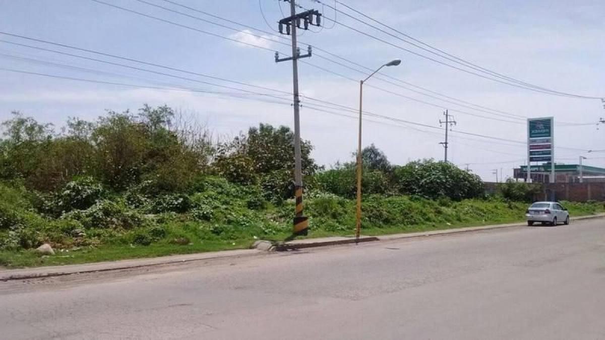 Terra em Mexico N.º 203756