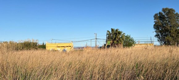 2 chambres Maison à Castellon de la Plana, Spain No. 146748 13