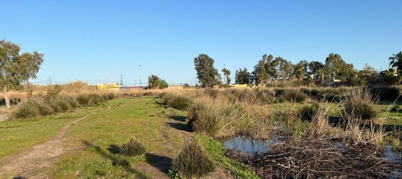 2 chambres Maison à Castellon de la Plana, Spain No. 146748 5