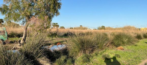 2 chambres Maison à Castellon de la Plana, Spain No. 146748 10