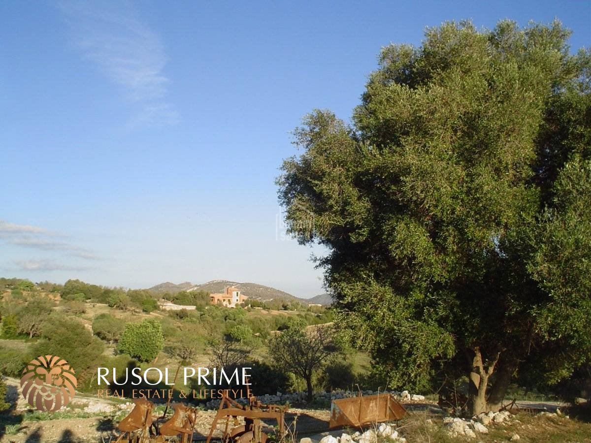 480m² Land in Sant Llorenc Des Cardassar, Spain No. 2074