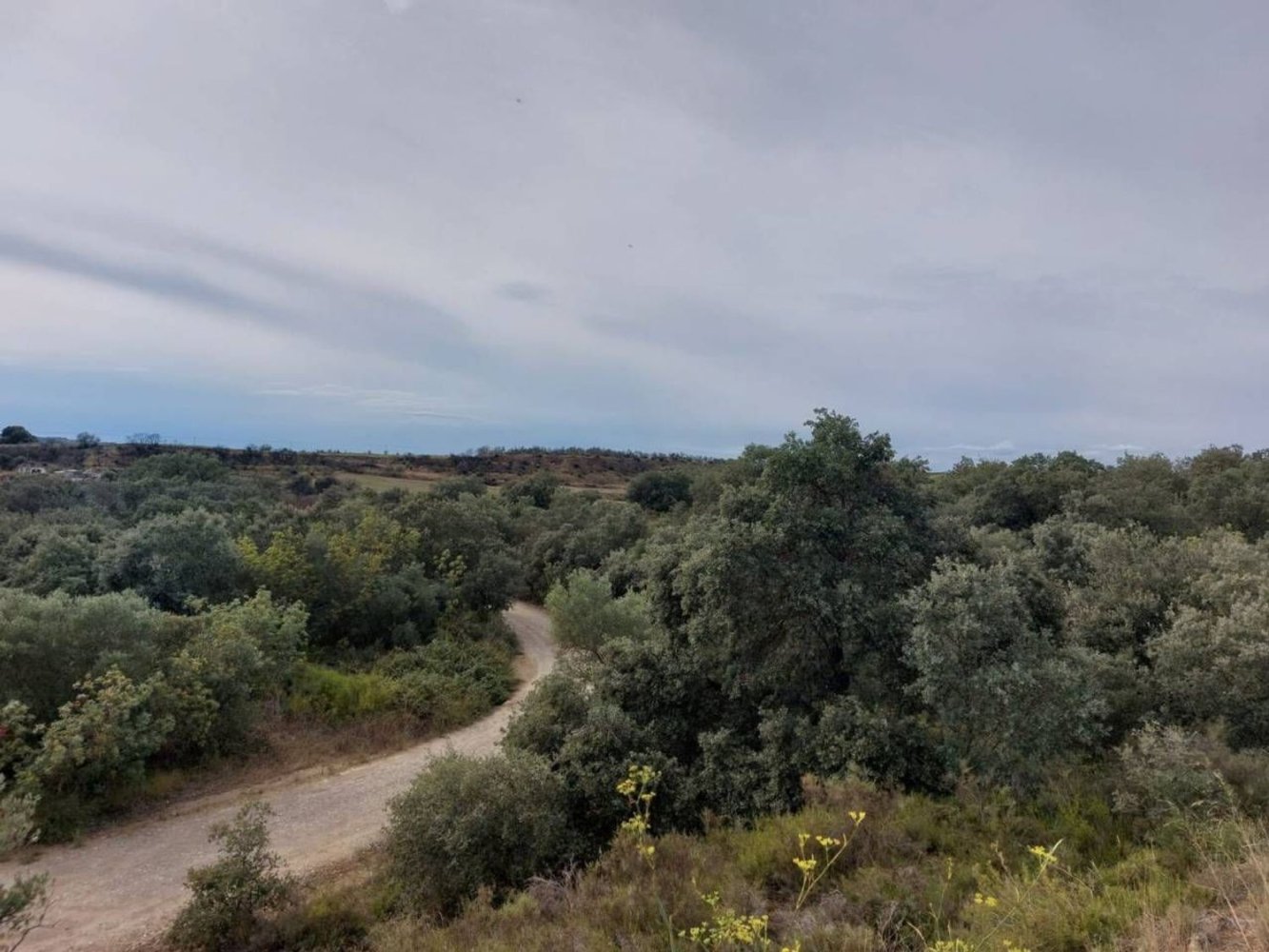 Terreno em Barbastro, Spain 15457 m² N.º 196741