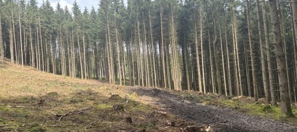 Земельный участок в Гуртен, Австрия № 193595 5